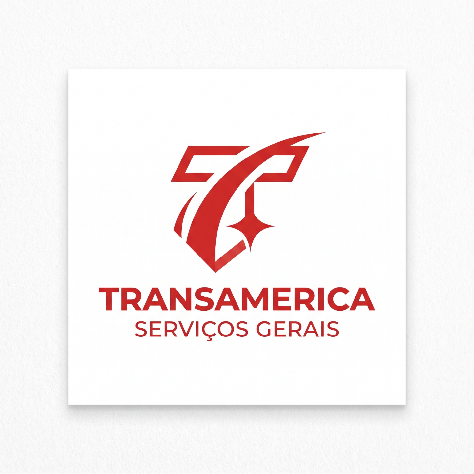Transamérica Serviços Gerais